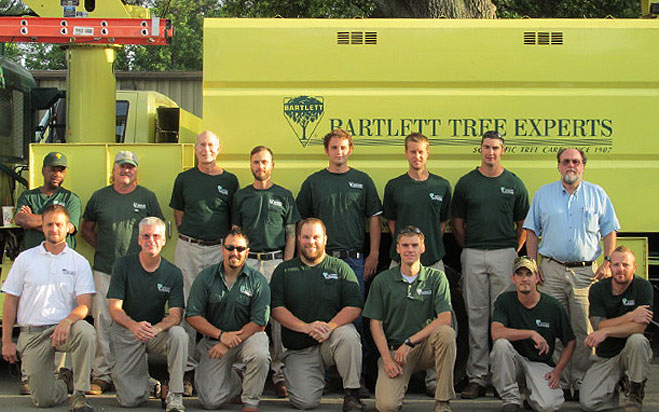 Tree removal service bartlett il, Capron VA
