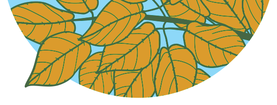 Tree Tips Banner