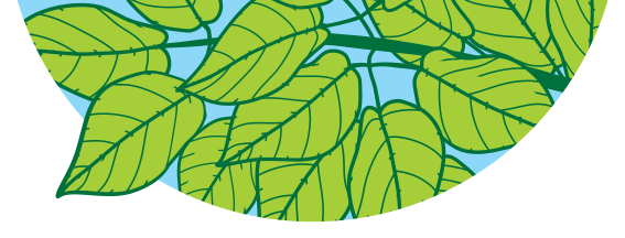 Tree Tips Banner