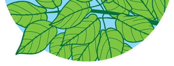 Tree Tips Banner