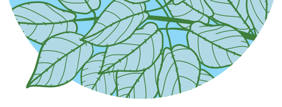 Tree Tips Banner