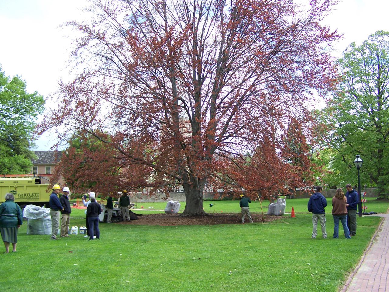 Arbor Day in New Castle, Delaware Tree Topics