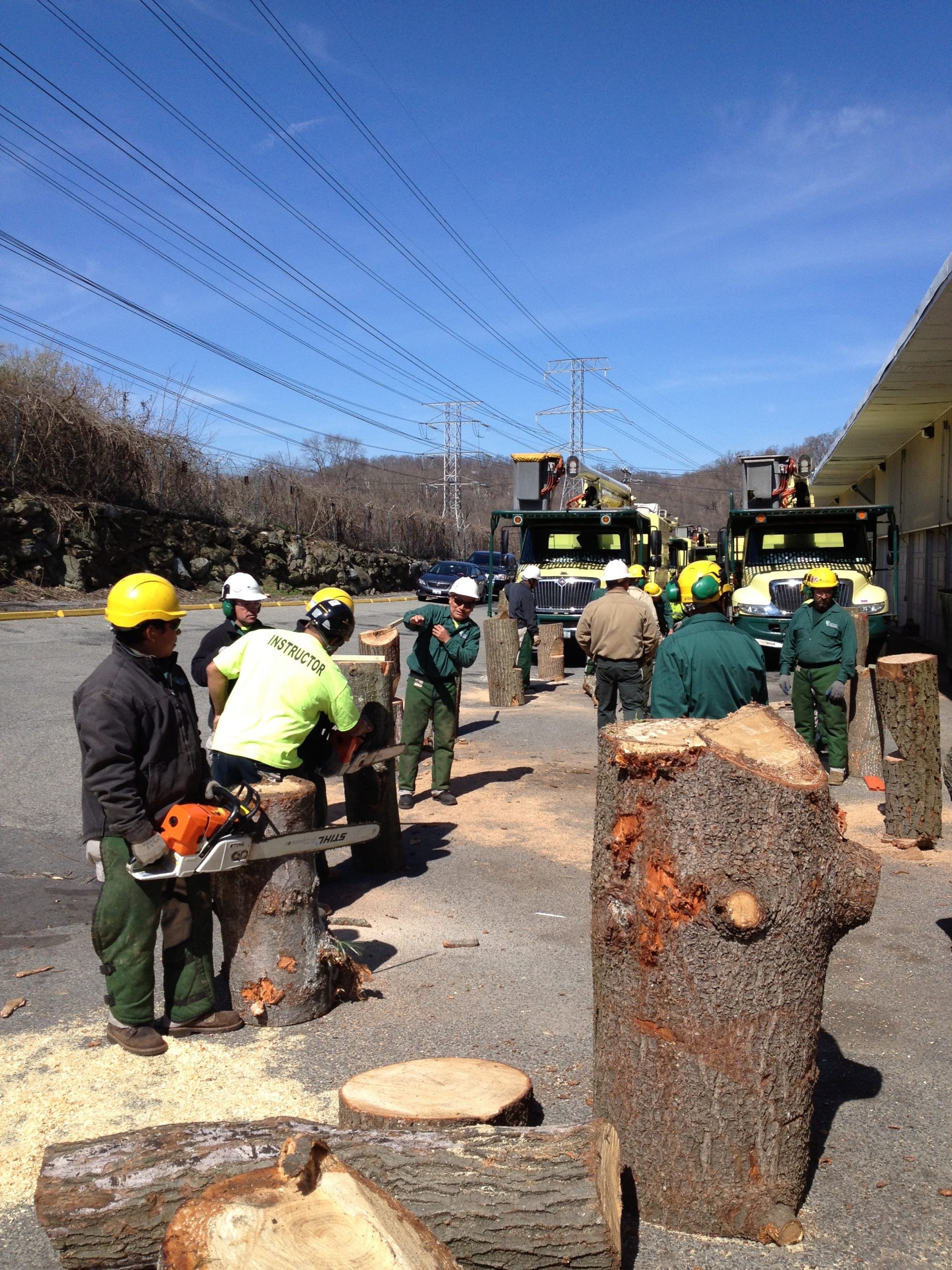 Chainsaw Safety Tree Topics