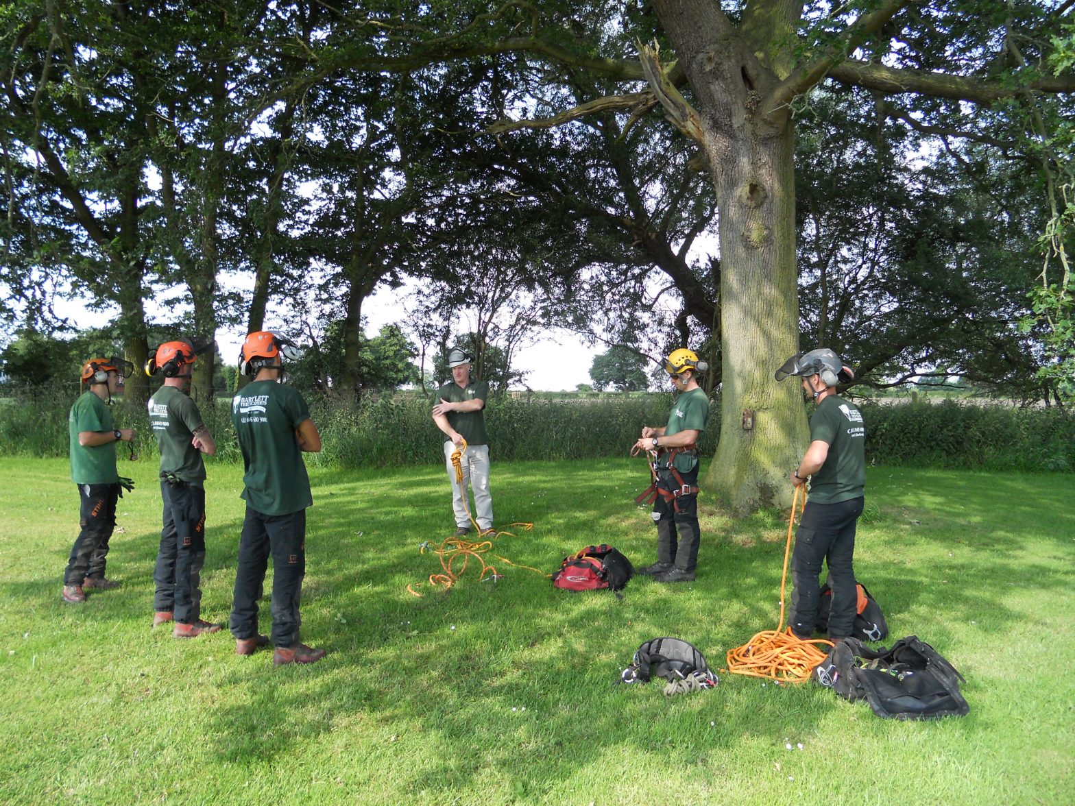 Aerial Rescue Training - Tree Topics