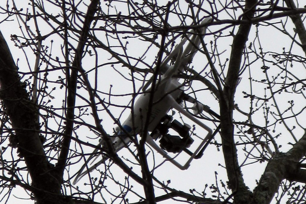 Aerial Drone Stuck in Tree