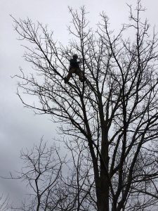 Foreman Jon Loughlin rescues a drone.