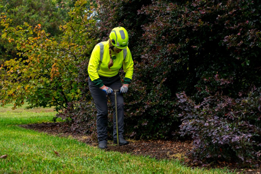 soil sample for testing