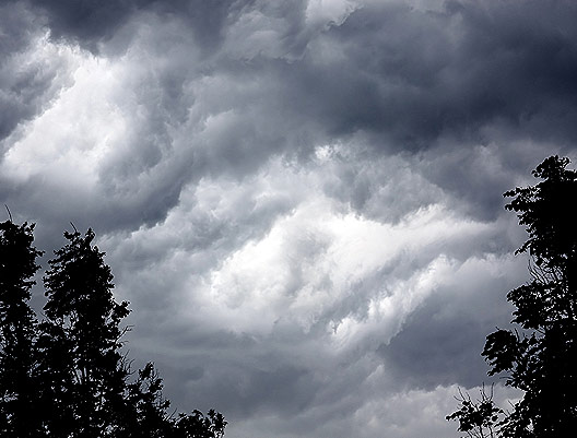 An approaching storm threatens trees.
