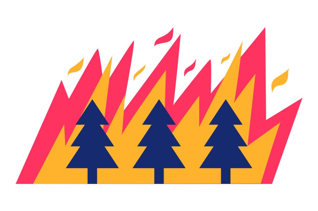 wildfire and trees