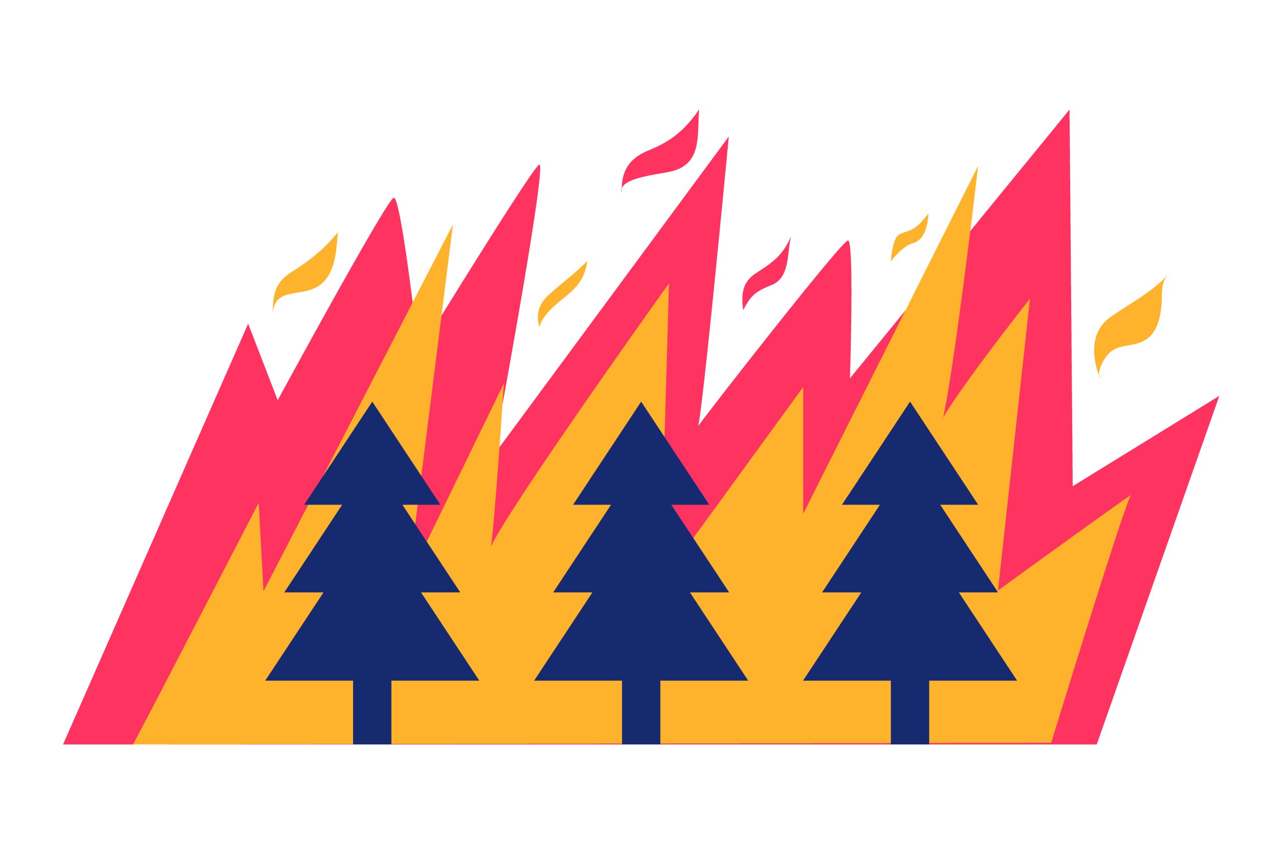 wildfire and trees