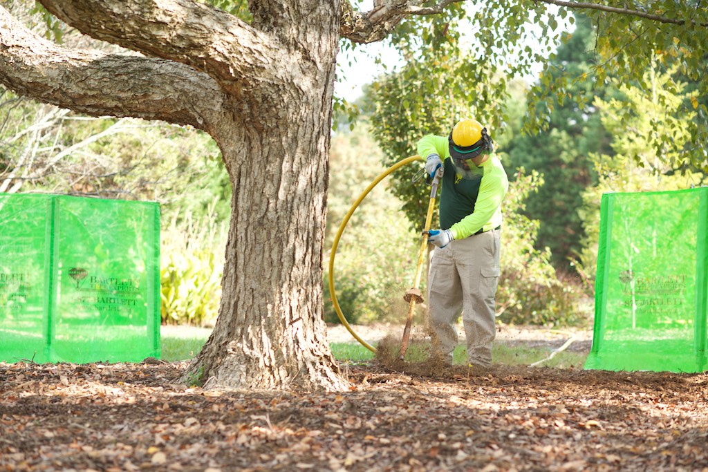 excavating the soil