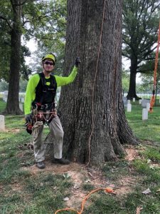lightning protection installation at Arlington National Cemetery