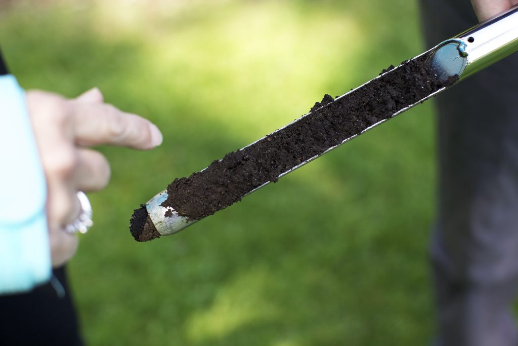 soil sample