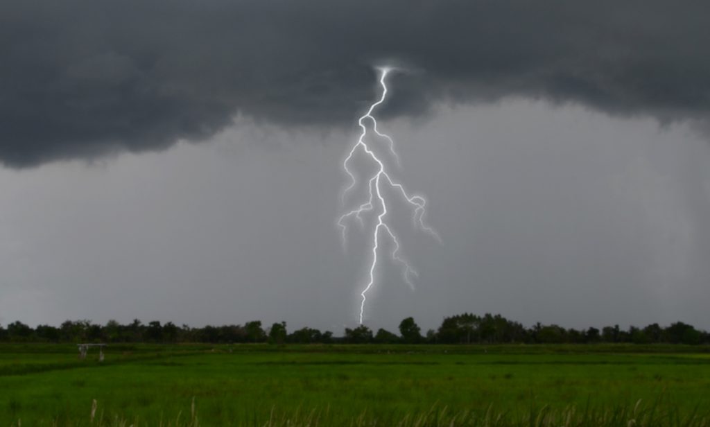 lightning strike to trees