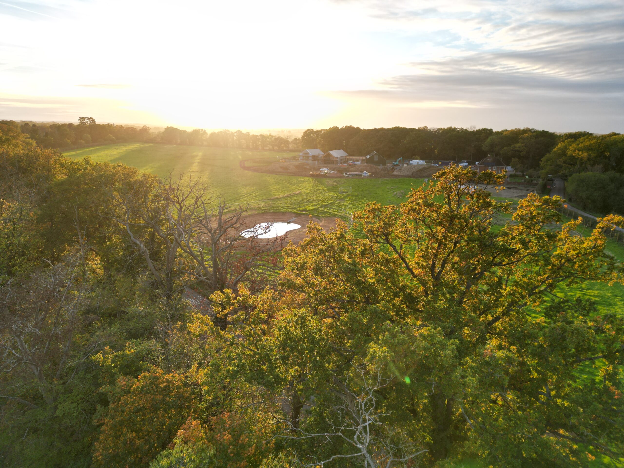 new UK tree research lab and arboretum nears completion