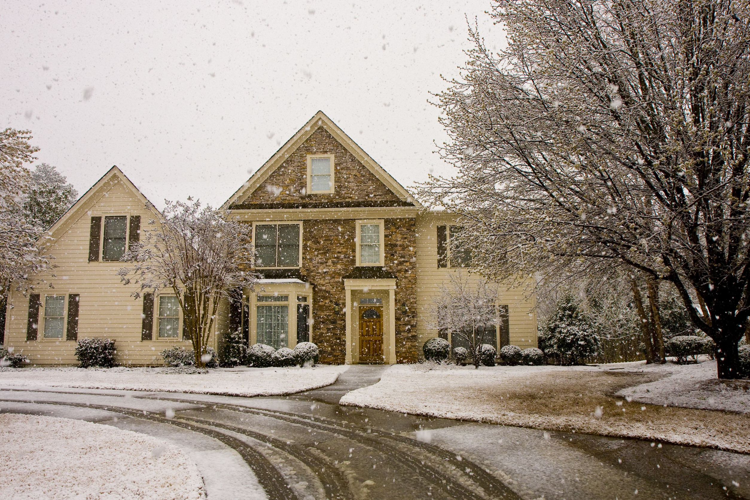 house with trees in snow storm