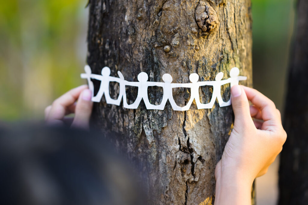 an arborist can help build community and connection