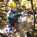 autumn pruning