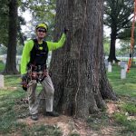 Lightning Protection Installation lightning protection installation at Arlington National Cemetery