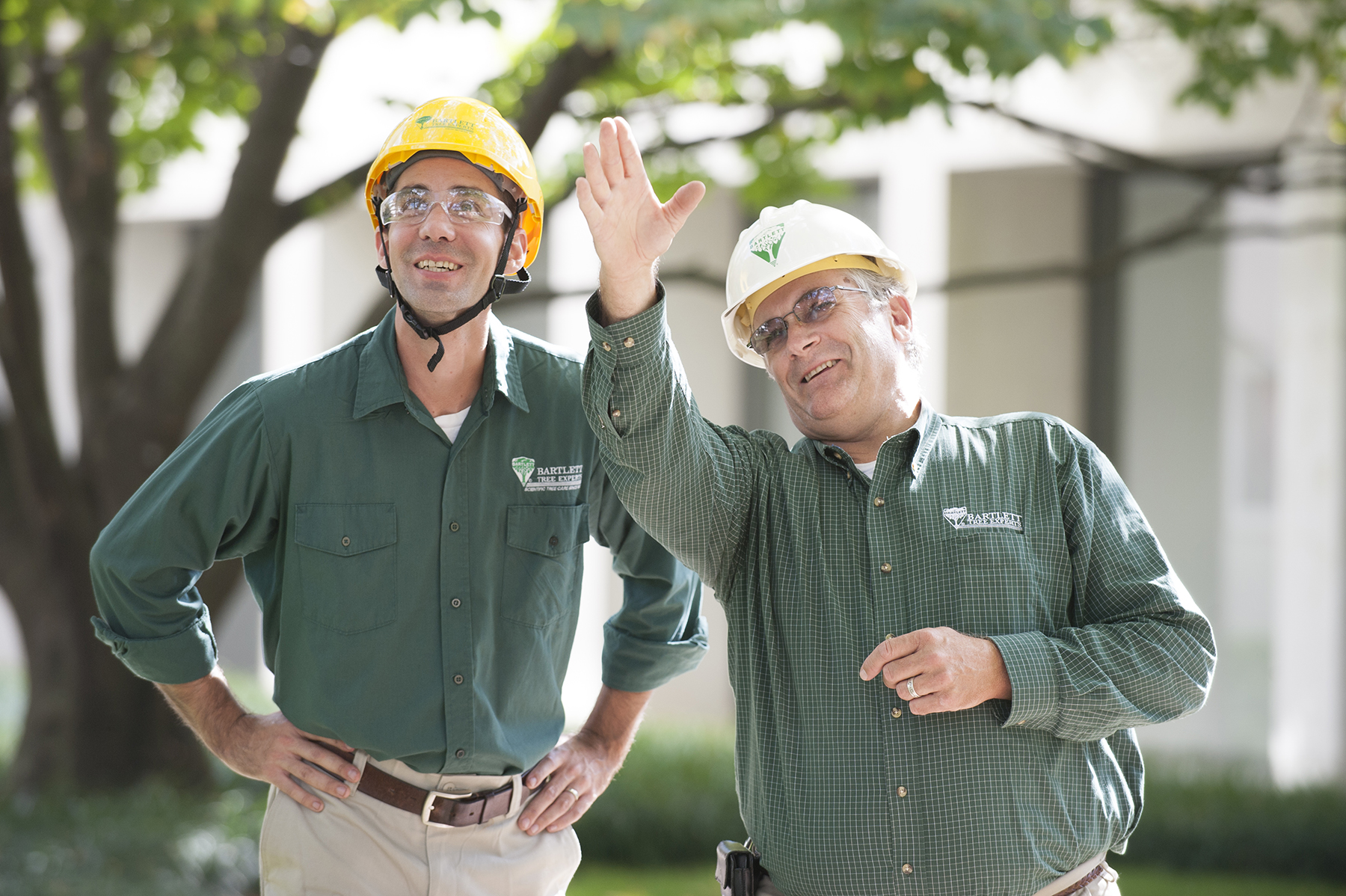 Working with an arborist that understands your landscape goals and objectives will help you prioritize your tree care efforts.