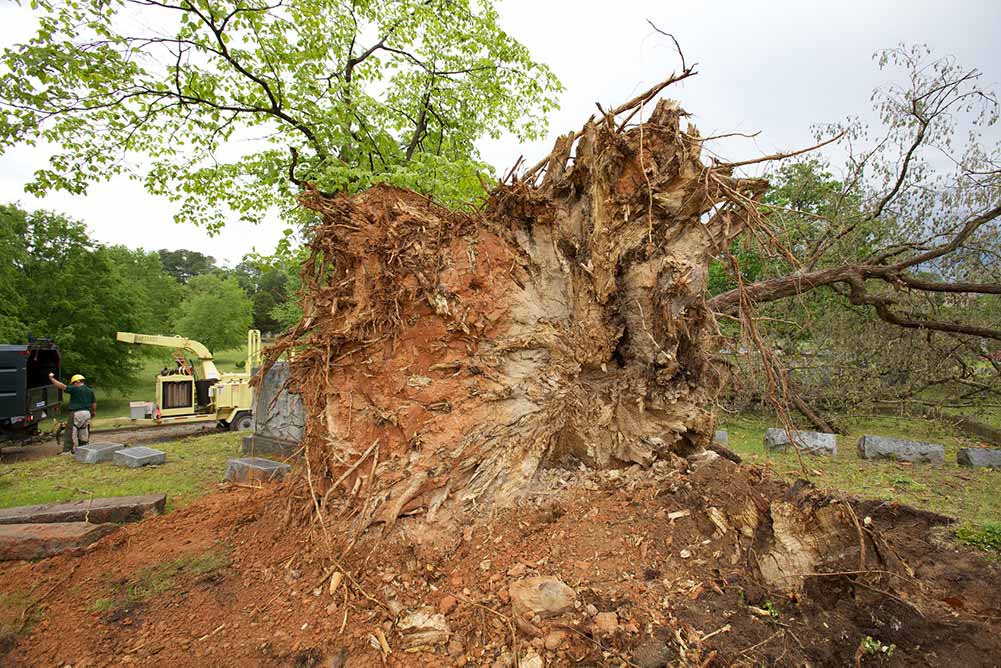 What Happens When a Storm Hits emergency storm work - What Happens When a Storm Hits