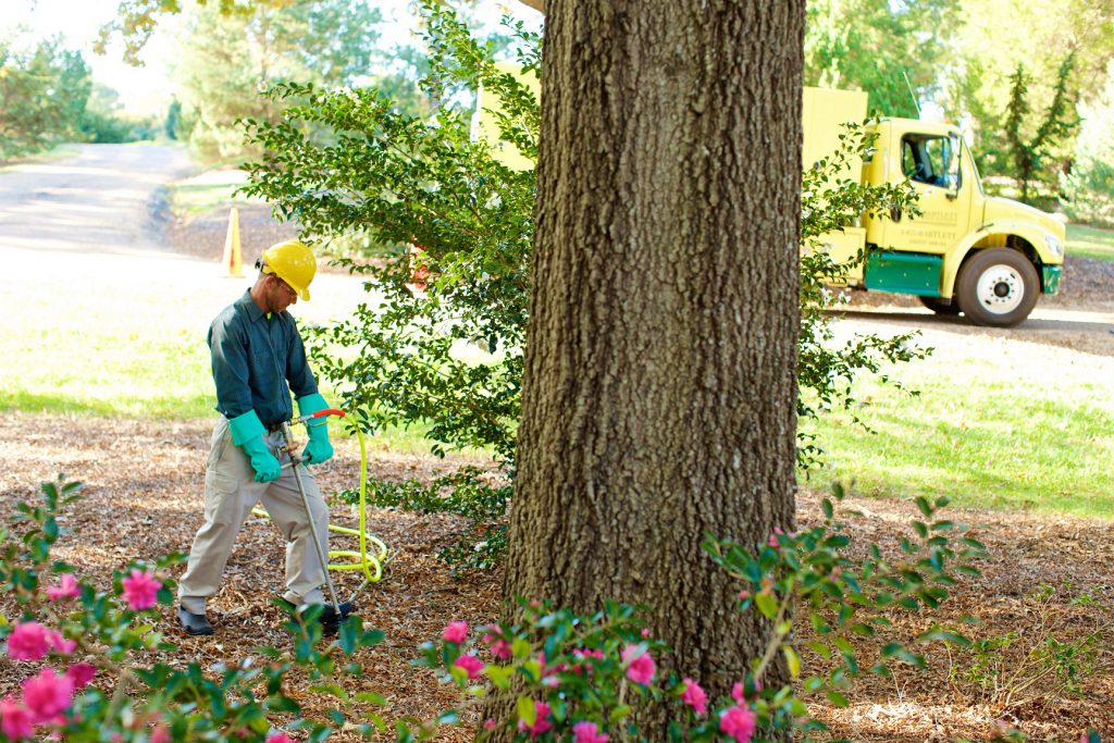 soil treatment