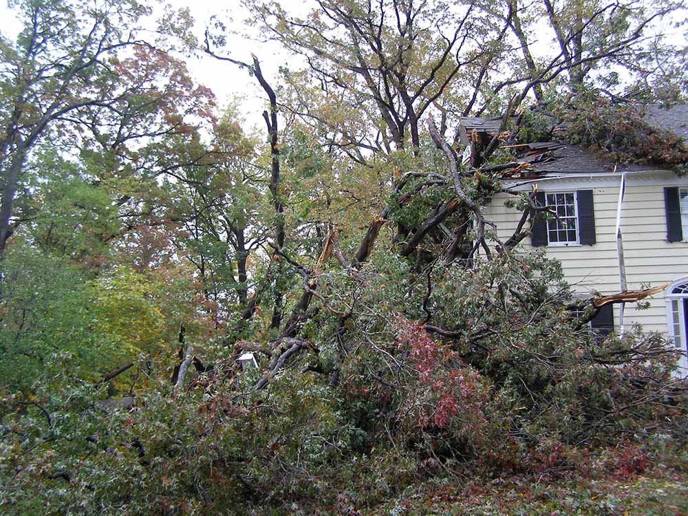 What Happens When a Storm Hits tree damaged home - What Happens When a Storm Hits