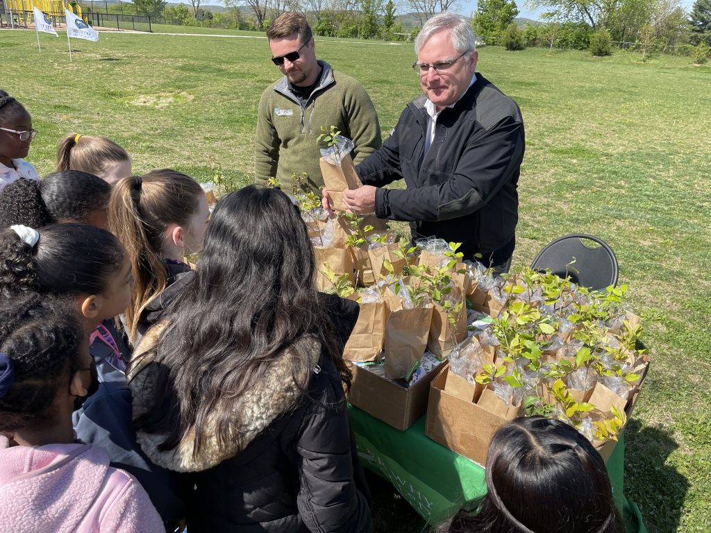 tree seedlings being distributed for Arbor Day