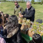 tree seedlings being distributed for Arbor Day