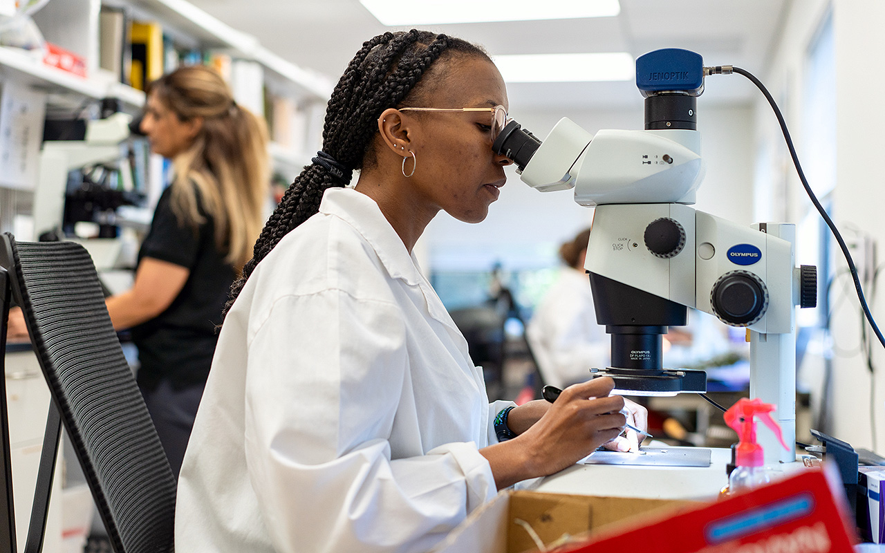 expert-lab-staff