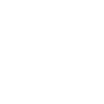 Home Icon
