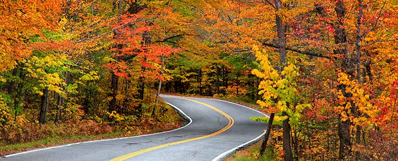 The fall foliage