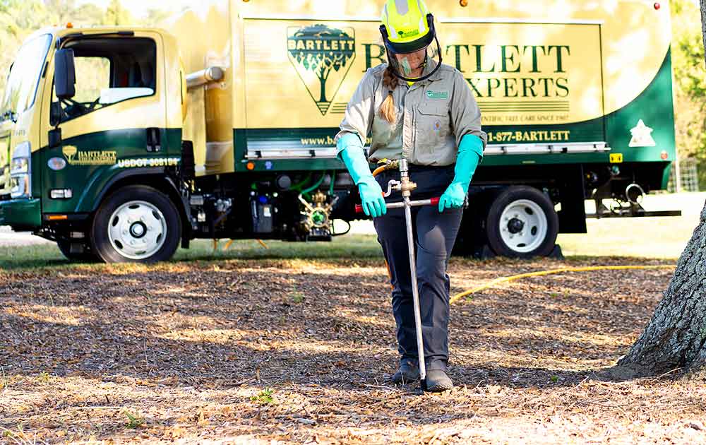 Fall soil care