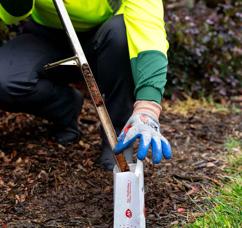 Fall soil care