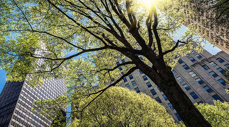 Proactively managing and growing landscape assets