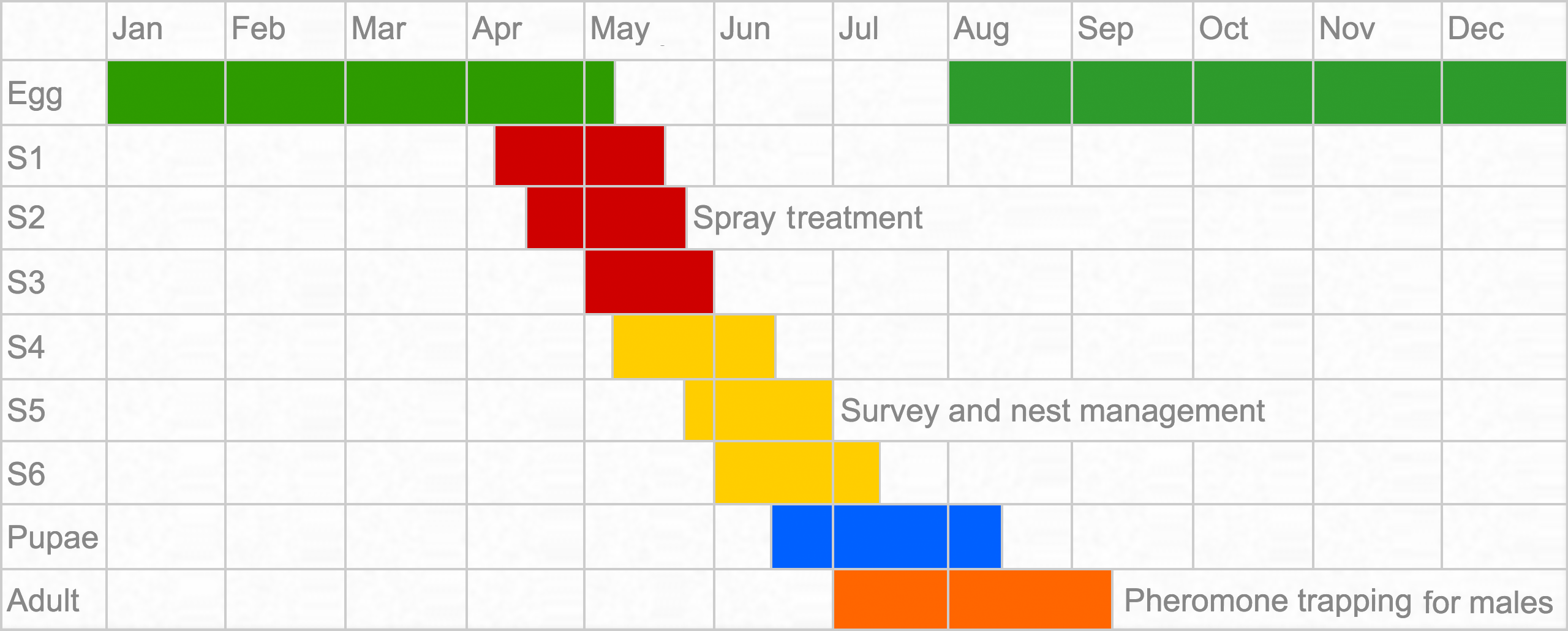 Oak processionary moth treatment timeline