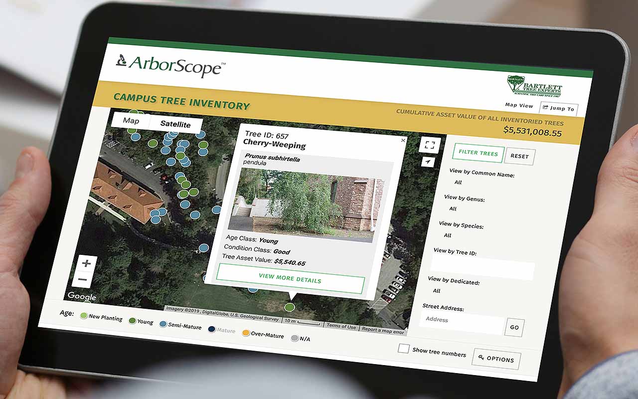 Responsive image