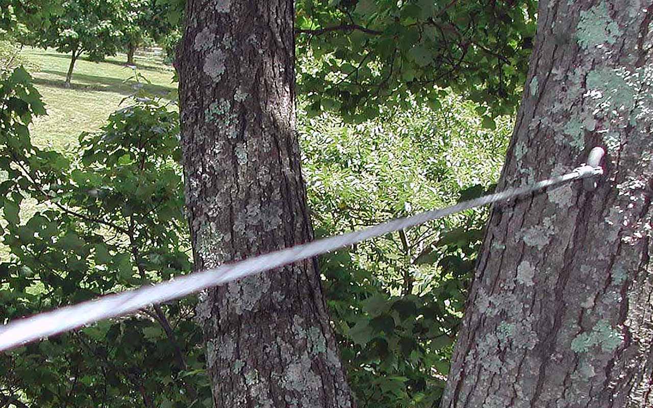 Bartlett Tree Experts: Residential Tree Services