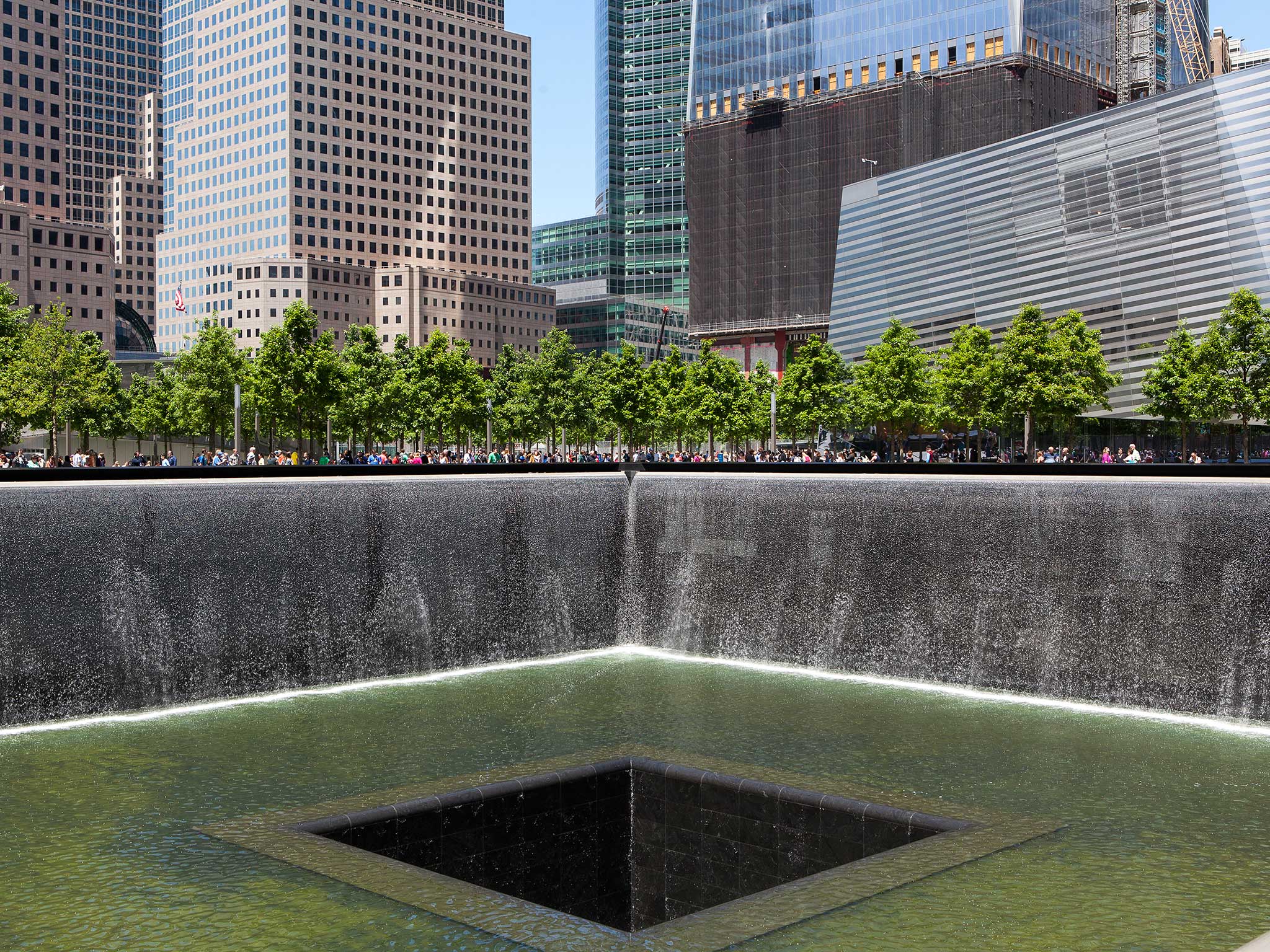 9/11 Memorial Trees