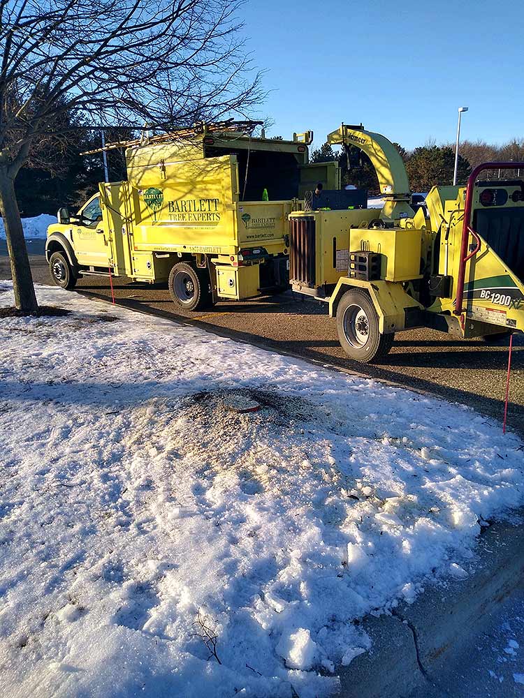 Solution