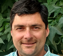Tom McCarthy, Local Manager & Arborist Representative serving the Bala Cynwyd, PA office of Bartlett Tree Experts